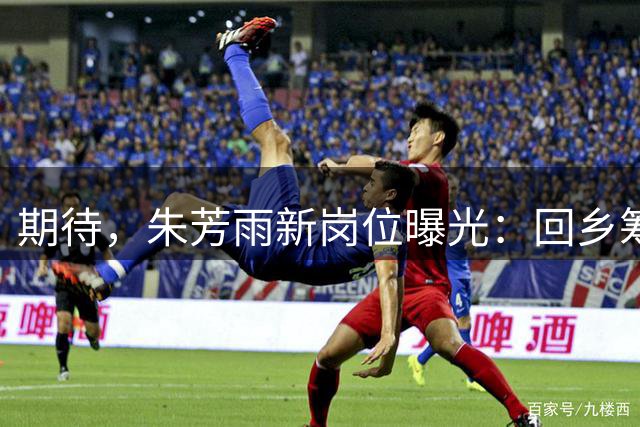 期待，朱芳雨新岗位曝光：回乡筹建广西职业球队，为未来布局！